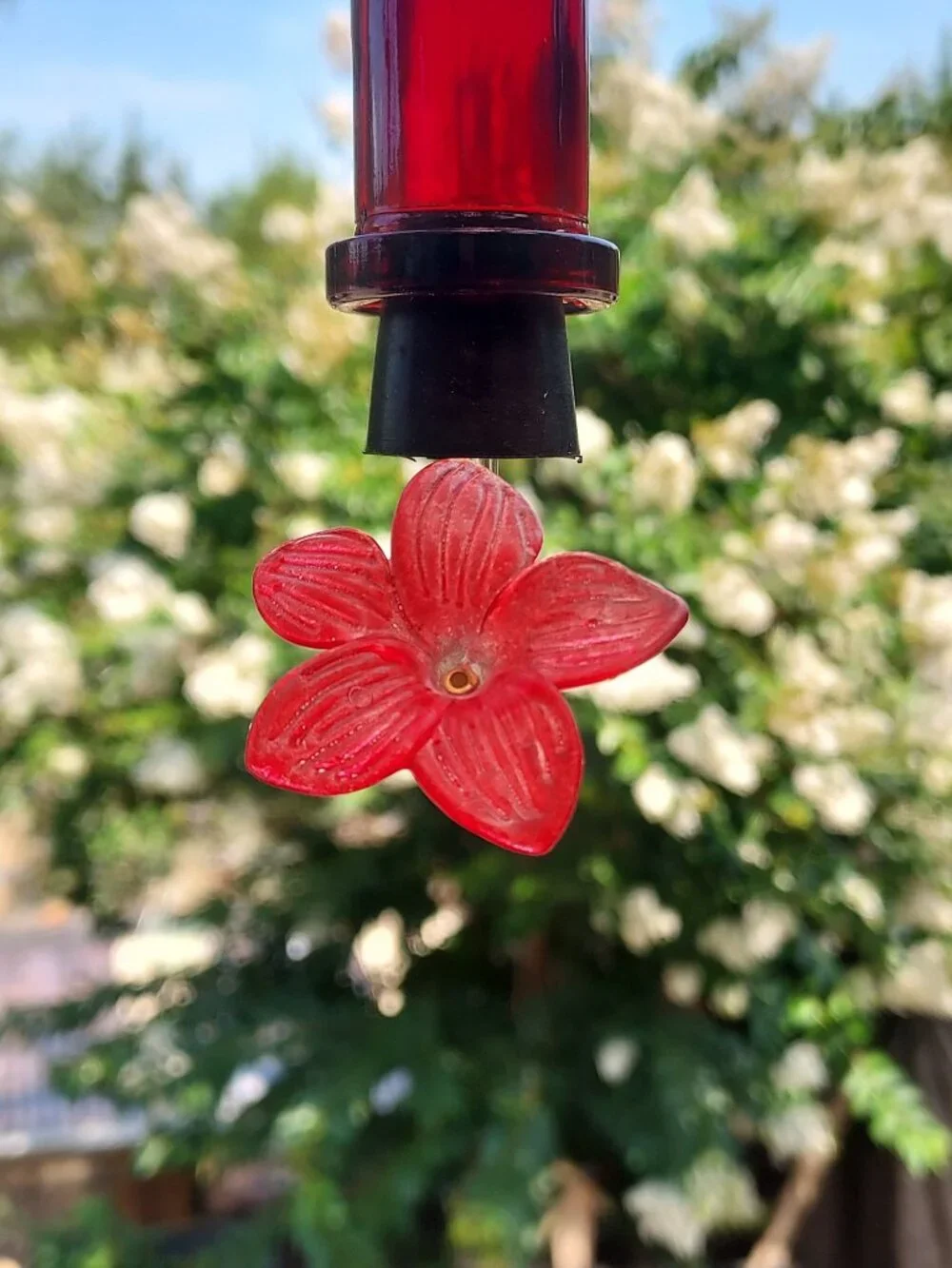 Clutch Q hummingbird feeder